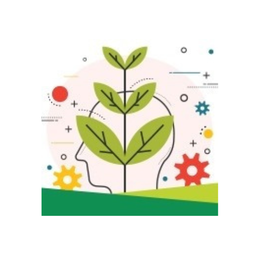 Ropažu vidusskola, 12.klase 